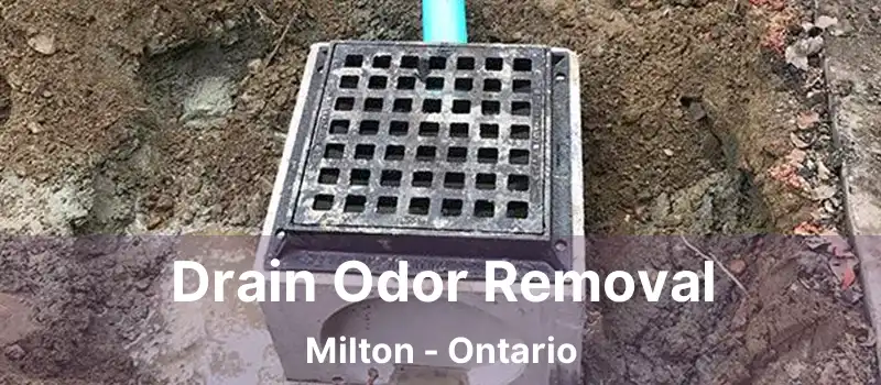  Drain Odor Removal Milton - Ontario